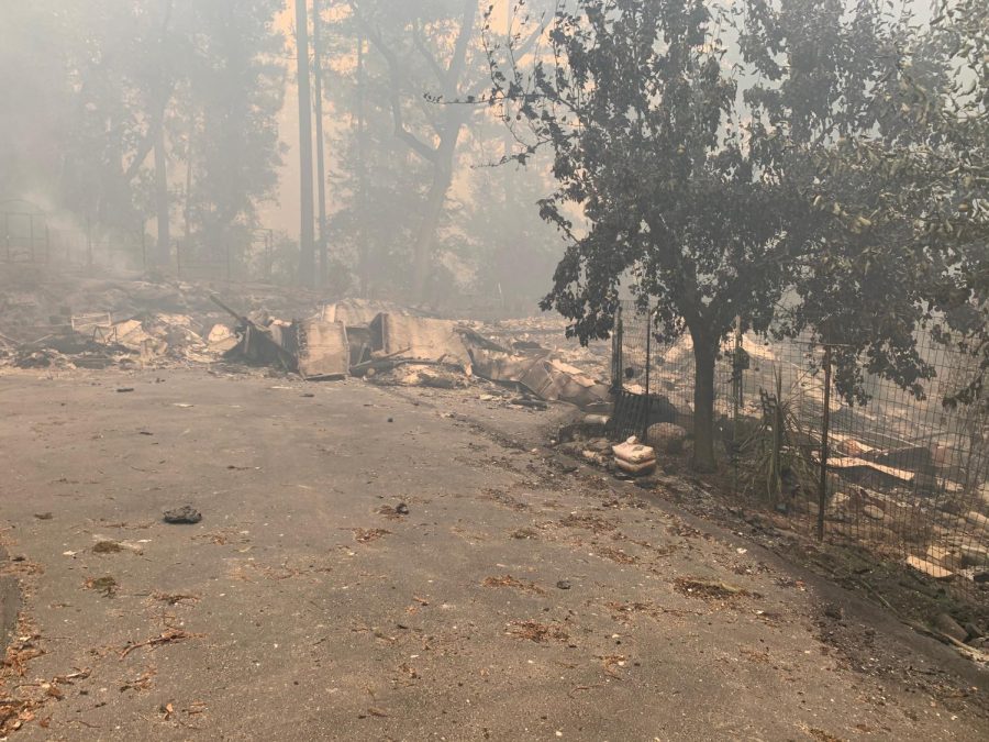 Upper school English teacher Beverley Mannings house was burned to the ground by the CZU Lightning Complex Fire, which has now burned over 86,000 acres. Manning evacuated from the wildfire with her rescued animals.