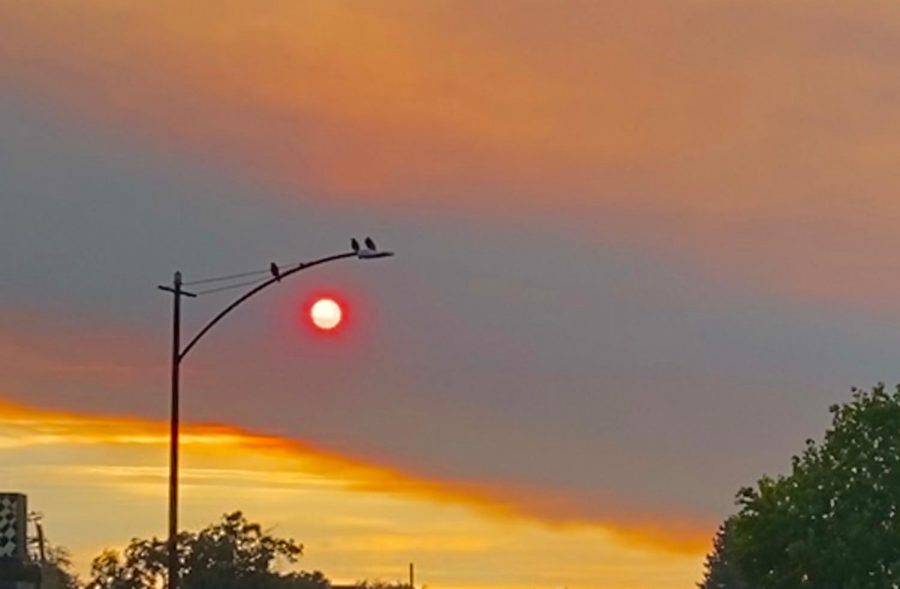 The sun appears red on Aug. 18 in Mountain View due to a thick layer of smoke. 