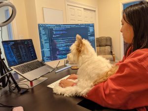 Ysabel Chen (11) works on her digital application Lucky Paw, which she designed to centralize the pet adoption process. She is currently enrolled in Harkers Incubator 1 class where students ideate and execute their own businesses.