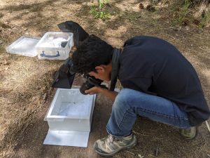 Prakrit Jain (11) photographs a sample for his project that built an automatic software to create ranged maps for wildlife.
