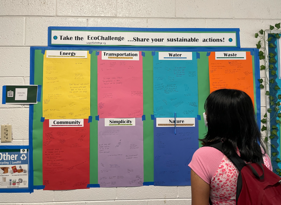 Emma Biswas (11) reads written responses from Green Teams EcoChallenge bulletin board. Honor Week launched today with a focus on the environment and will continue with different daily themes throughout the rest of the week.