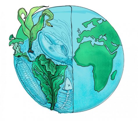 In honor of Earth Day on April 22, Green Team hosted the multi-day long Harker EcoChallenge. Students and faculty members completed environmentally responsible tasks, like consuming meatless meals or travelling by bike, and submitted their accomplishments for points.