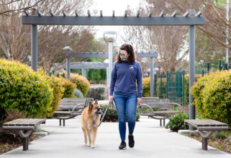 Dr. Sue McNeill-Bindon takes a walk with her rescue dog Honey. McNeill-Bindon found the dog 12 years ago at the dump and nursed her back to health.