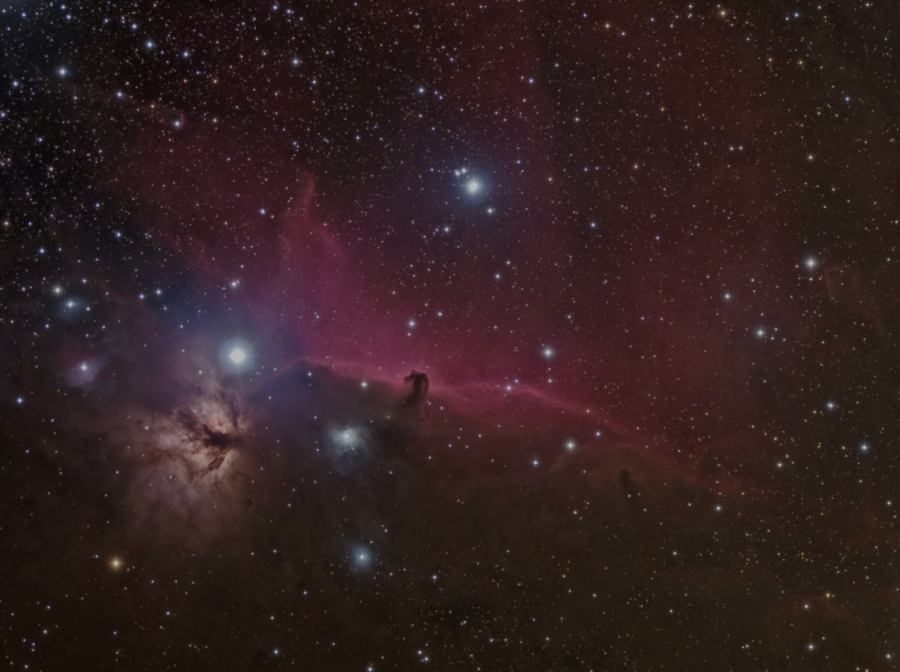 Reduced horsehead galaxy. Upper school physics and research teacher Chris Spenner shared this photograph during Astronomy Club's astrophotography workshop on Thursday Dec. 9.