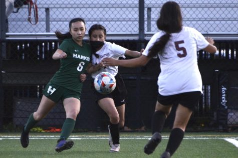 Kalyn Su (12) jostles with an Eastside defender for the ball. The team emerged victorious 6-0 at the end of the game, which is their second to last of the season.