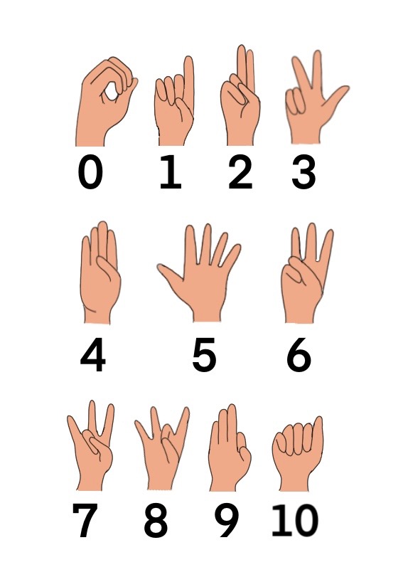 Intrigued, I attempted to do the same over Thanksgiving break last year and mastered some basic signs through an online website. After just a couple days, I knew how to sign numbers one through 10, how to ask if someone is hearing or deaf, greetings and more. 