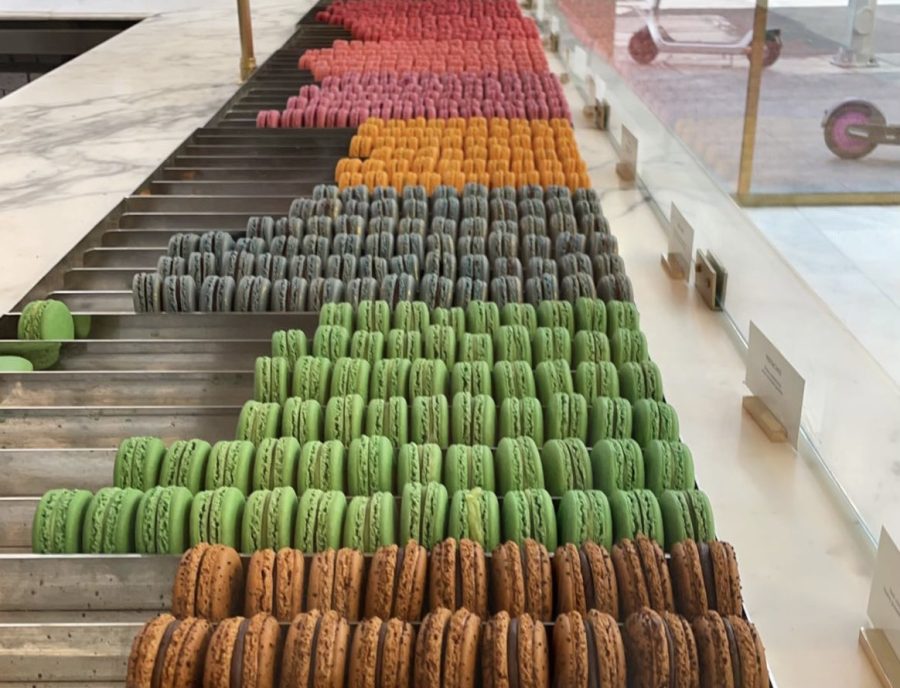 Rows of macarons decorate the display at Bottega Louie in Downtown Los Angeles. Harker Aquila visited Bottega Louie on Thursday for dinner. 