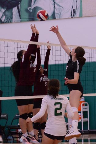 Emily Mitnick (10) tips a ball over the net in the varsity girls volleyball teams game on Thursday. The team defeated Eastside in three sets. 