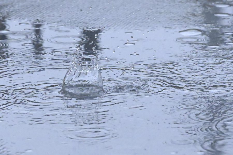 Heavy rain forms puddles on campus this week. Over two inches of rain have fallen in Santa Clara County since Dec. 1, an amount 21% higher than the average rainfall for this time of year.