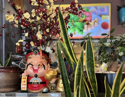 Lunar New Year decorations spice up a local Gogo Pho restaurant. We celebrate happiness and success together and hope to have good luck for earning more money in the new year, Gogo Pho waiter Tung Nguyen, who identifies as Vietnam, said.