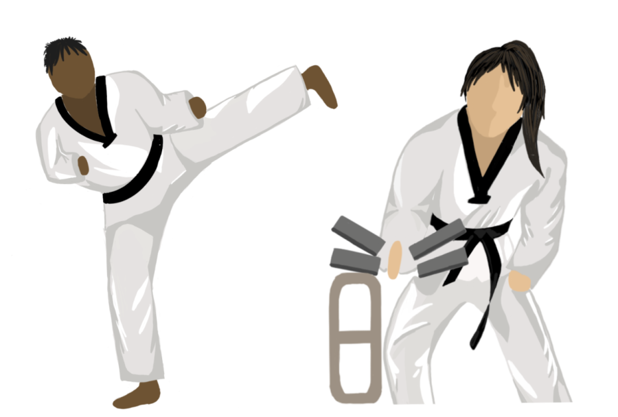 An illustration of two martial arts students with one performing a kick and the other breaking bricks. Taekwondo has taught me to be disciplined, dedicated and confident in all I do, martial artist Anika Pallapothu (10) said.