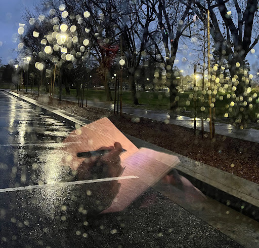 Raindrops splatter my windshield as I look out at the quickly darkening sky. Pen and journal in hand, I listen to the loudness of the natural world. I wonder, 'Who do I want to grow into this coming year?'