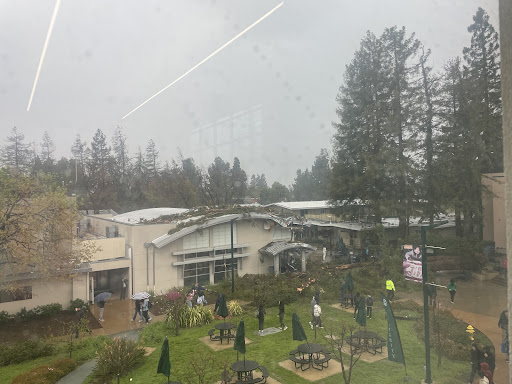 A redwood tree outside of Dobbins Hall fell in front of the library. Administration called all students to the Zhang Gymnasium following the event.