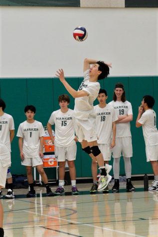 Adrian Liu (11) serves the ball in the match against Cupertino High School on March 29. The team defeated Cupertino in three straight sets 25-23, 25-17, 25-18 at home.