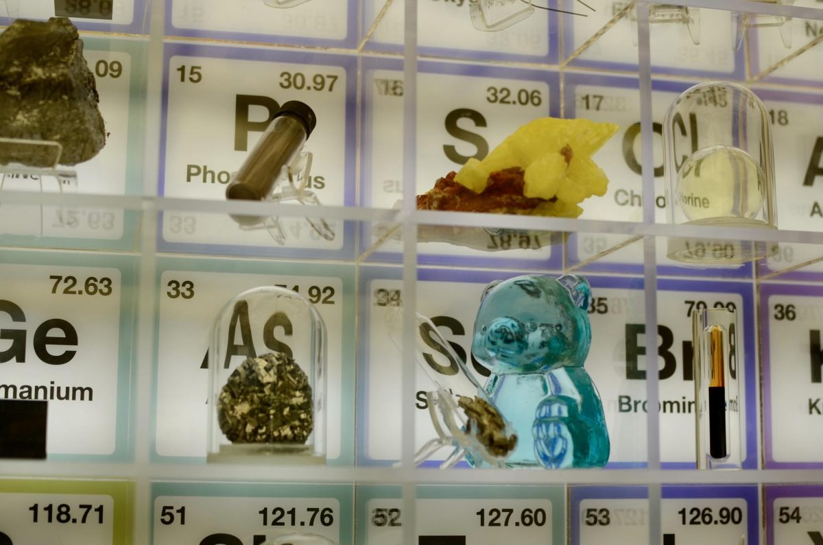 Various element samples sit in the new periodic table installment in Nichols Hall. “Weve been trying to make the building a place that invites students to come and learn more than what were teaching them in the classroom,” upper school science department head Anita Chetty said.