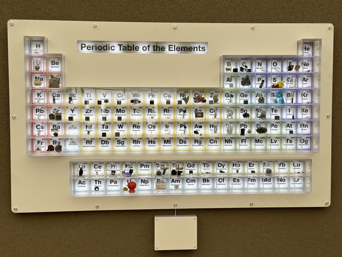 The new periodic table installment in Nichols features physical representations of most of the elements. There are some elements which we dont have a sample of because they only exist in nuclear reactors or in laboratory conditions for very brief periods of time,” upper school science department head Anita Chetty said.