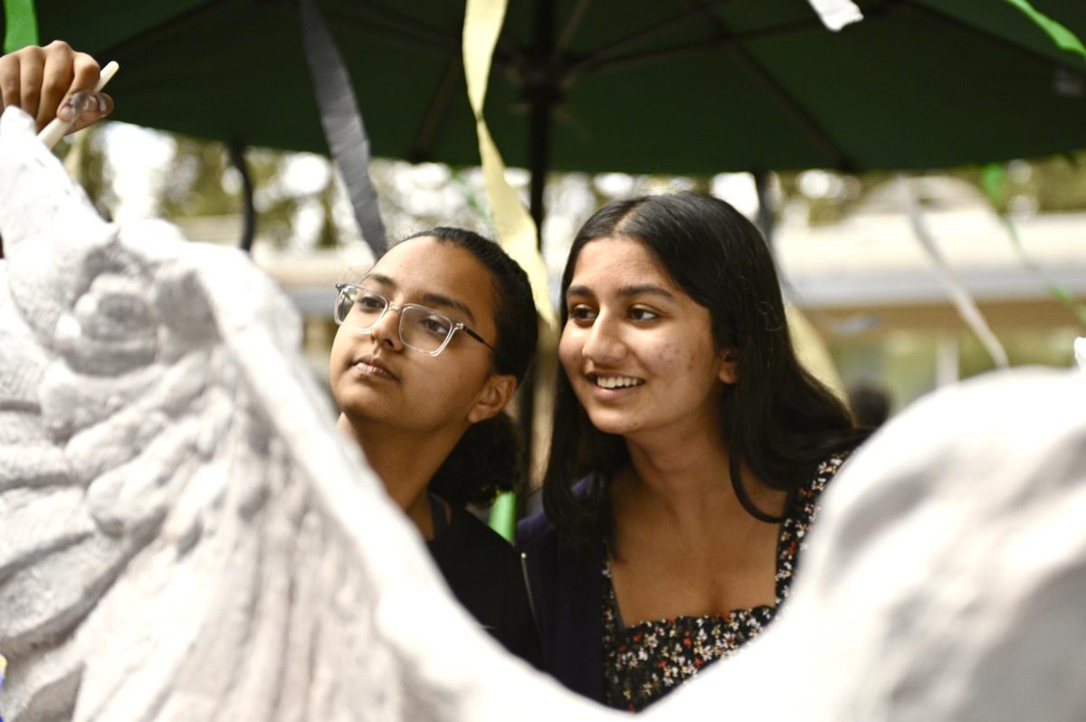 Juniors Sam Parupudi and Sanaa Bhorkar paint the Class of 2025s eagle white. Each grade colored their eagle white ahead of Spirit Week in October, during which classes will decorate their respective eagles to their assigned theme.
