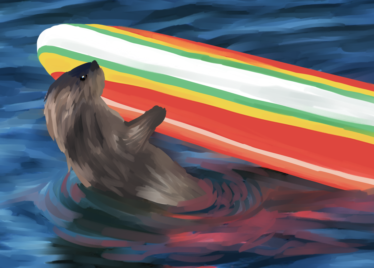 Otter+841+clings+onto+a+vibrant+surfboard+in+the+waters+off+Santa+Cruzs+Cowell+Beach+in+June.+Many+surfers+have+reported+encounters+with+this+otter+outlaw%2C+and+authorities+are+still+searching+for+her.