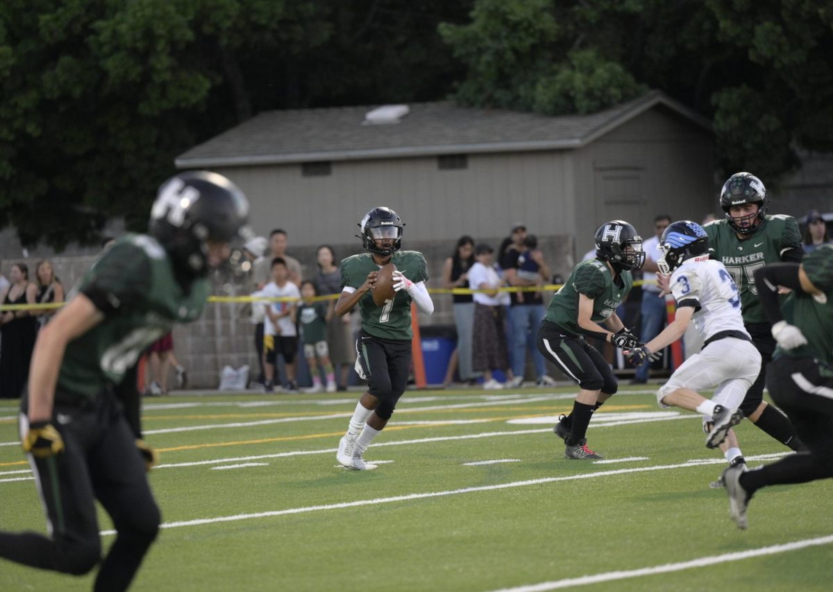 Rayan Arya (11) prepares to throw the football in an early play by the Eagles. Arya completed his pass, gaining five yards.