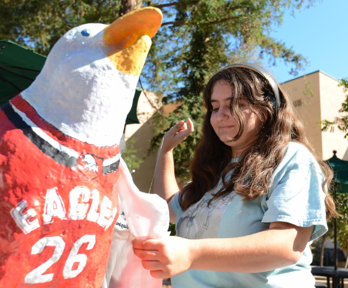 Tara Nemati (10) works to complete the sophomore class eagle during Spirit Night on Friday. The sophomore eagle donned a lab coat and sports jersey to highlight the “High School Musical” theme.