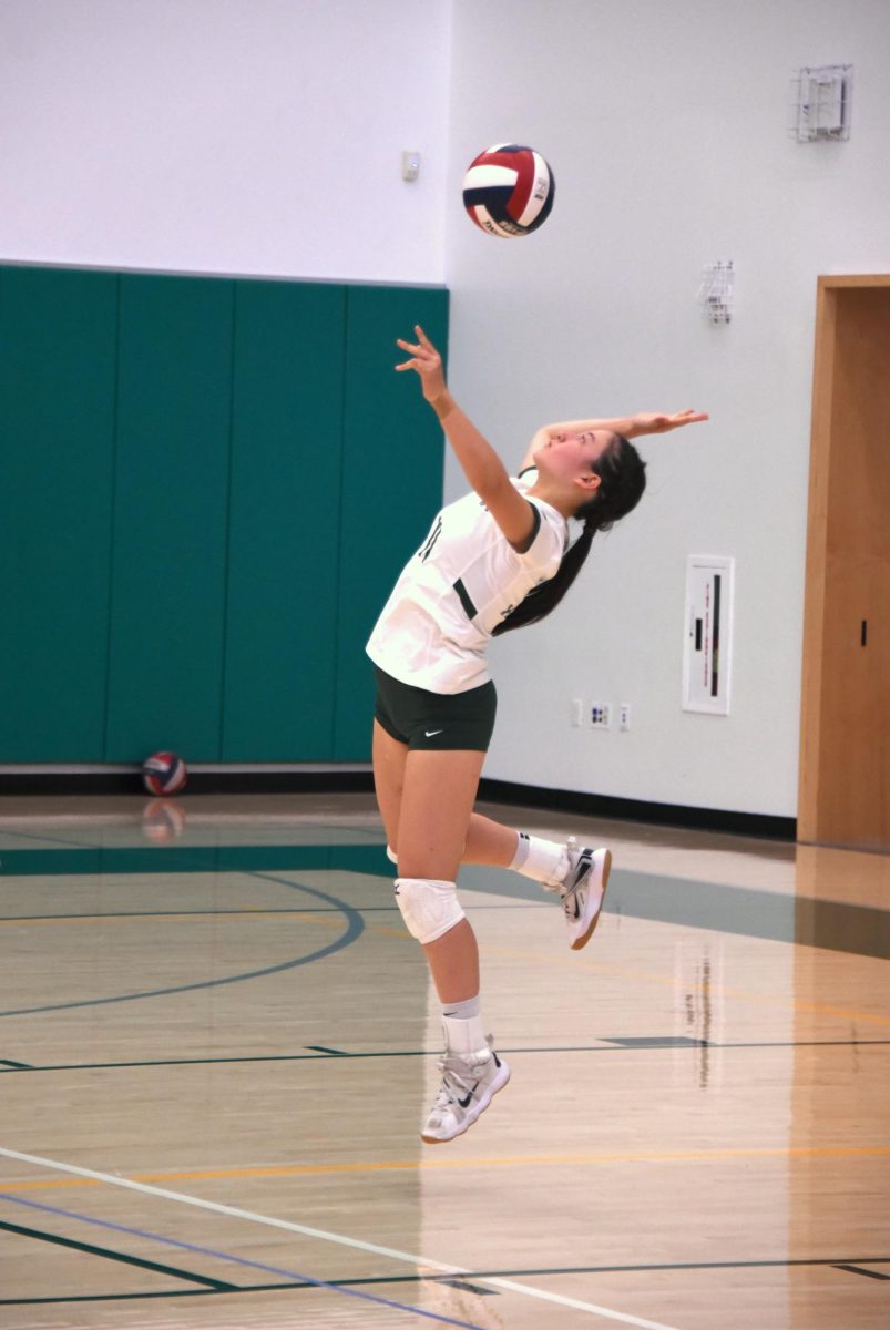 Aline Grinspan (10) serves the ball in the varsity teams game against Eastside. The Eagles took home the win in three sets.