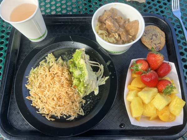 A lunch tray consists of turkey and rice from Mexican Fiesta, swedish meatballs and egg noodles from Main, fresh fruits from the salad bar and a cookie from the Auxiliary Gym. “Because teen athletes are still growing and developing, it’s important to ensure they’re getting enough nutrition and hydration,” registered dietitian Sara Leung said.