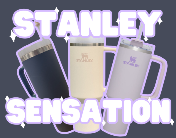 Stanley sensation sweeps social media