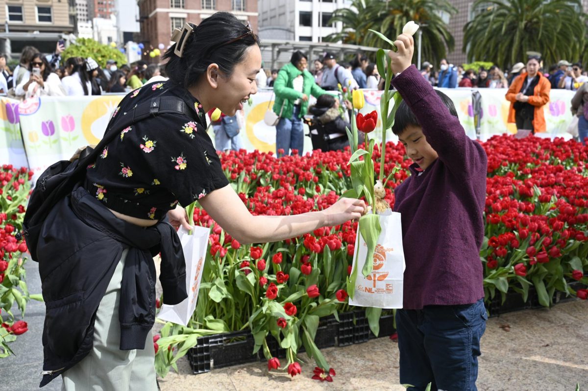 Beaming with bulbs: San Francisco Tulip Day draws crowds