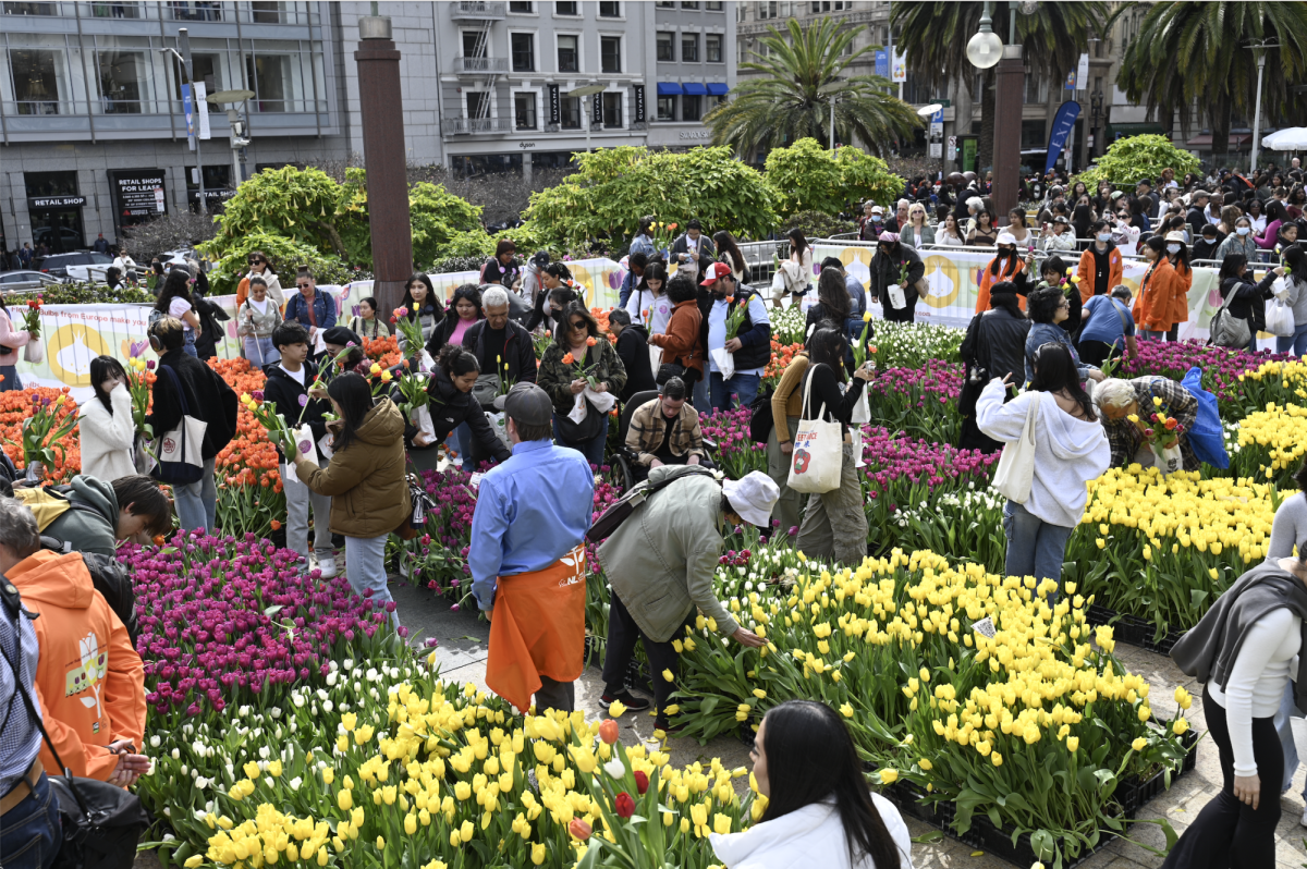 Event attendees select tulips during Tulip Day. Nine other flower displays are planned for the rest of the season. 