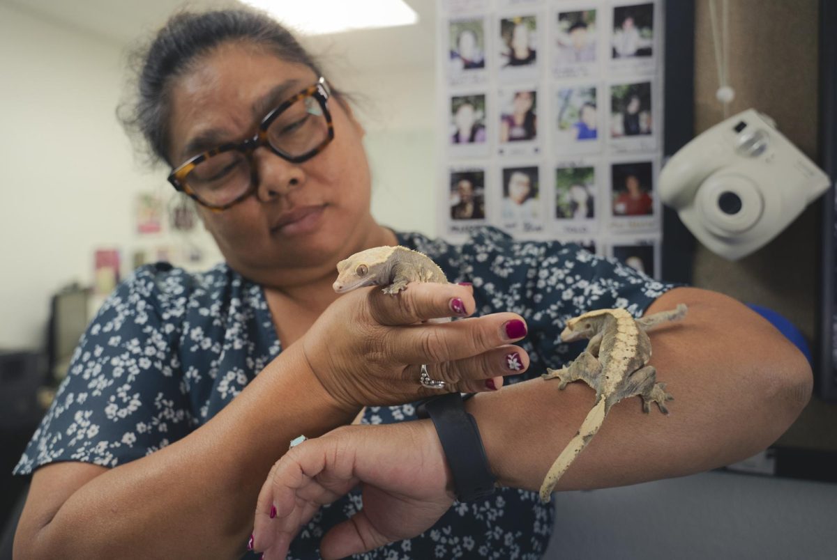 Burrows holds her two geckos, Mint and Cream. “Kids love animals, and when you’re in a high-stress situation, caring for something else just makes you feel better,” Burrows said.