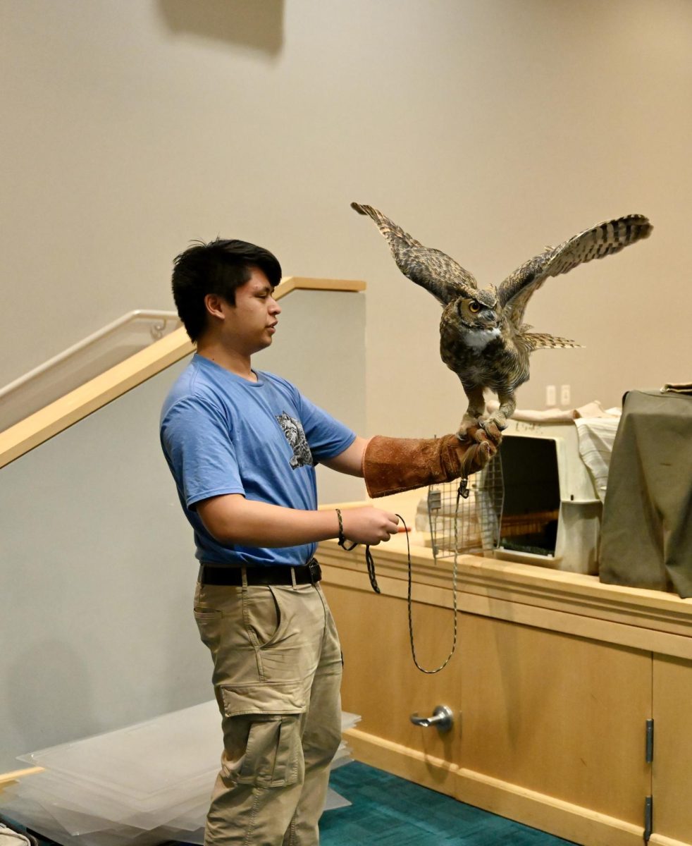 Wildlife Education and Rehabilitation Center (WERC) volunteer Brenna Lim brings out an owl to show to attendees on Harker Day. WERC showcased three different species of owls at the event. 