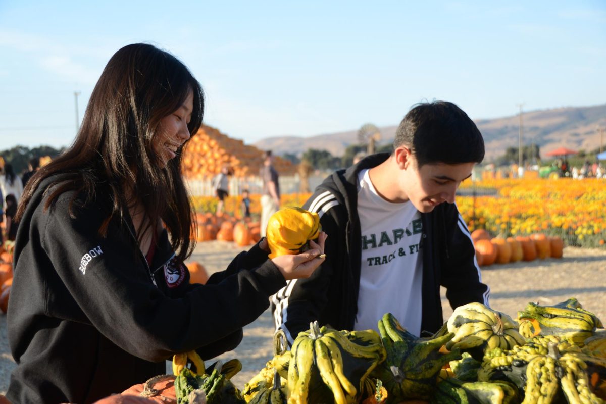 Sophomores Grace Fu and Adrian Roufas laugh as they shuffle through pumpkins. Both of them bought pumpkins for themselves, with Grace choosing a small orange one and Adrian selecting a mushroom-shaped one.