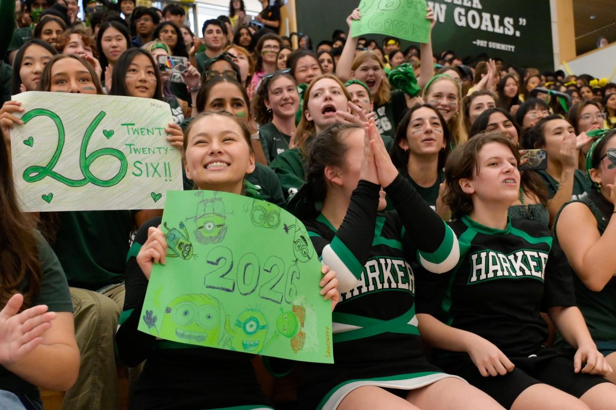 SIDELINE SMILES: Junior Sophia Bagley supports the spirit dancers with her sign. Other spirit props included bullhorns, tutus, flags and face paint.