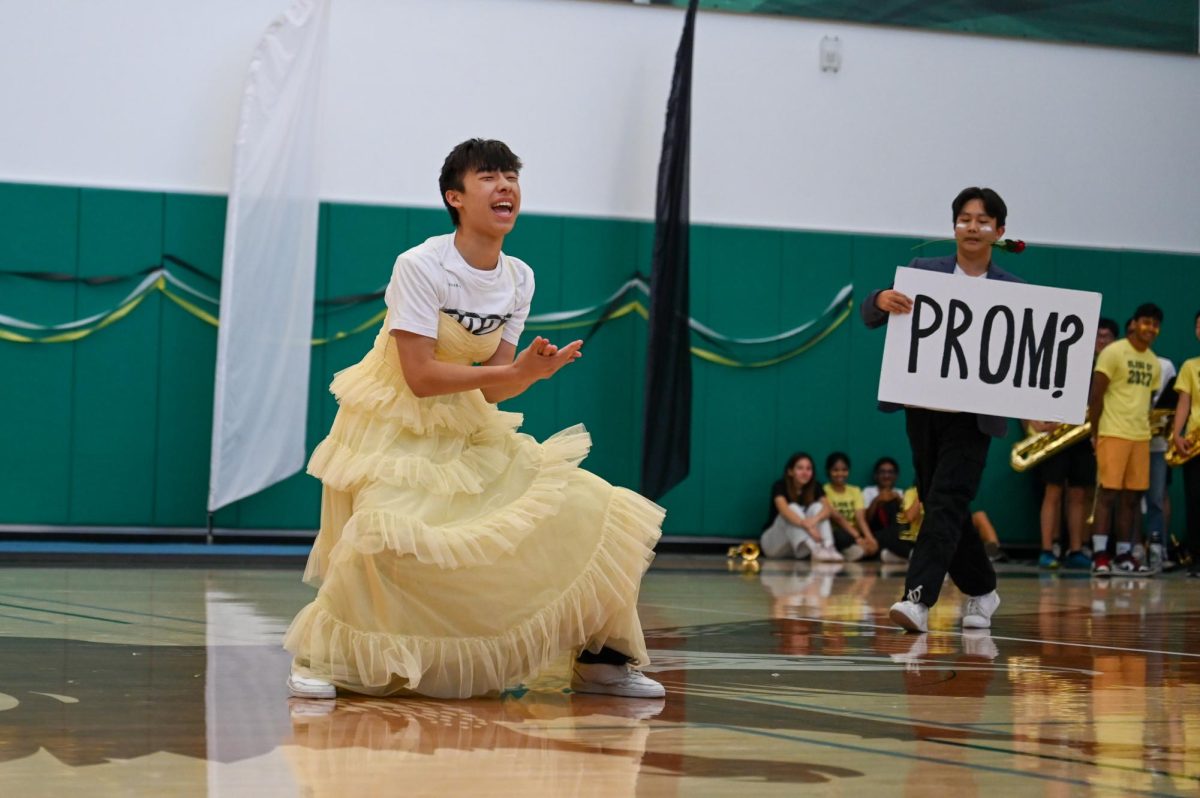 WILL THEY WON'T THEY: During the senior spirit dance, Aaron Bao ambushes Arthur Wu with a promposal. The dance followed the journey of a senior, from car scrapes to dances. The rally featured a tight race for points between the seniors and sophomores.