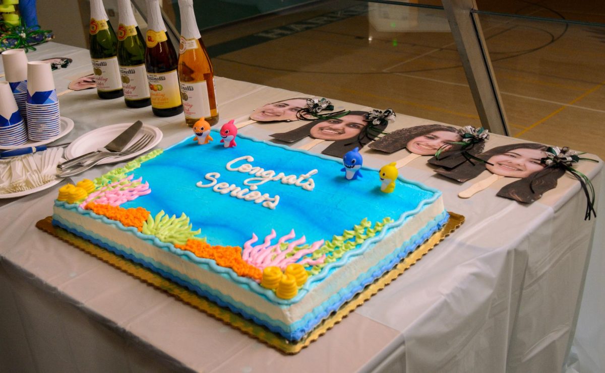 A cake with "Congrats Seniors" written on top sits on a table with cutouts of the varsity girls volleyball team seniors. Teammates and audience members enjoyed the treats and held up the cutouts to cheer on the seniors. 