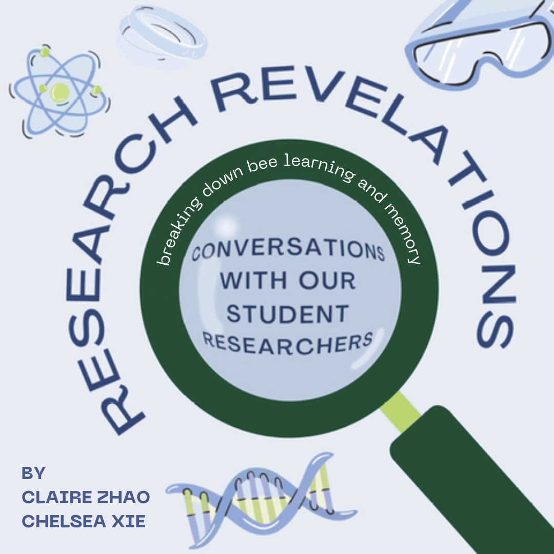 Research Revelations Episode 6: Breaking down bee learning and memory with Abby Wang