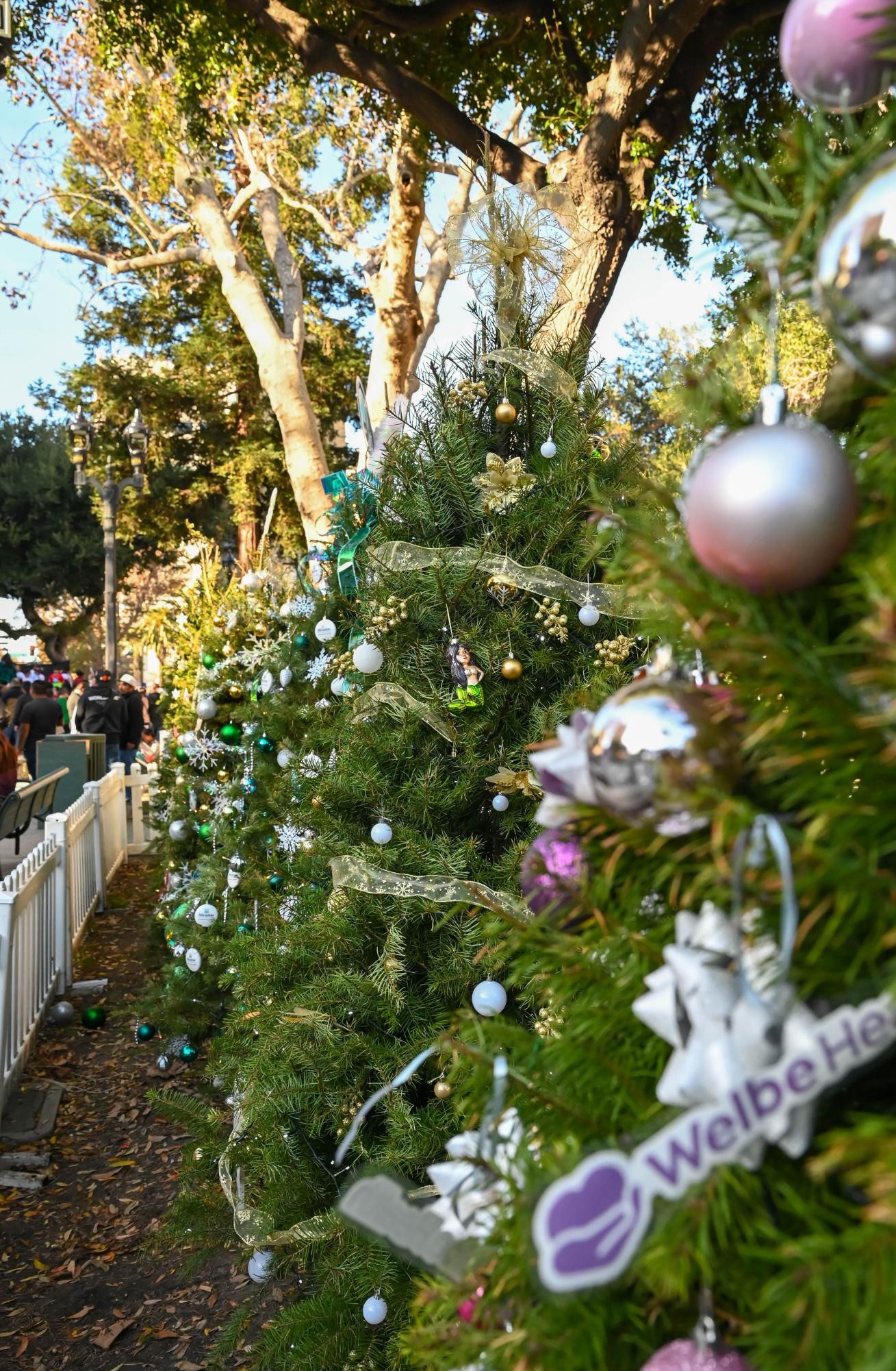 Christmas trees decorated by local schools, organizations, and businesses line the park’s pathways. This year, Harker’s tree features hand-painted ornaments created by lower school students.