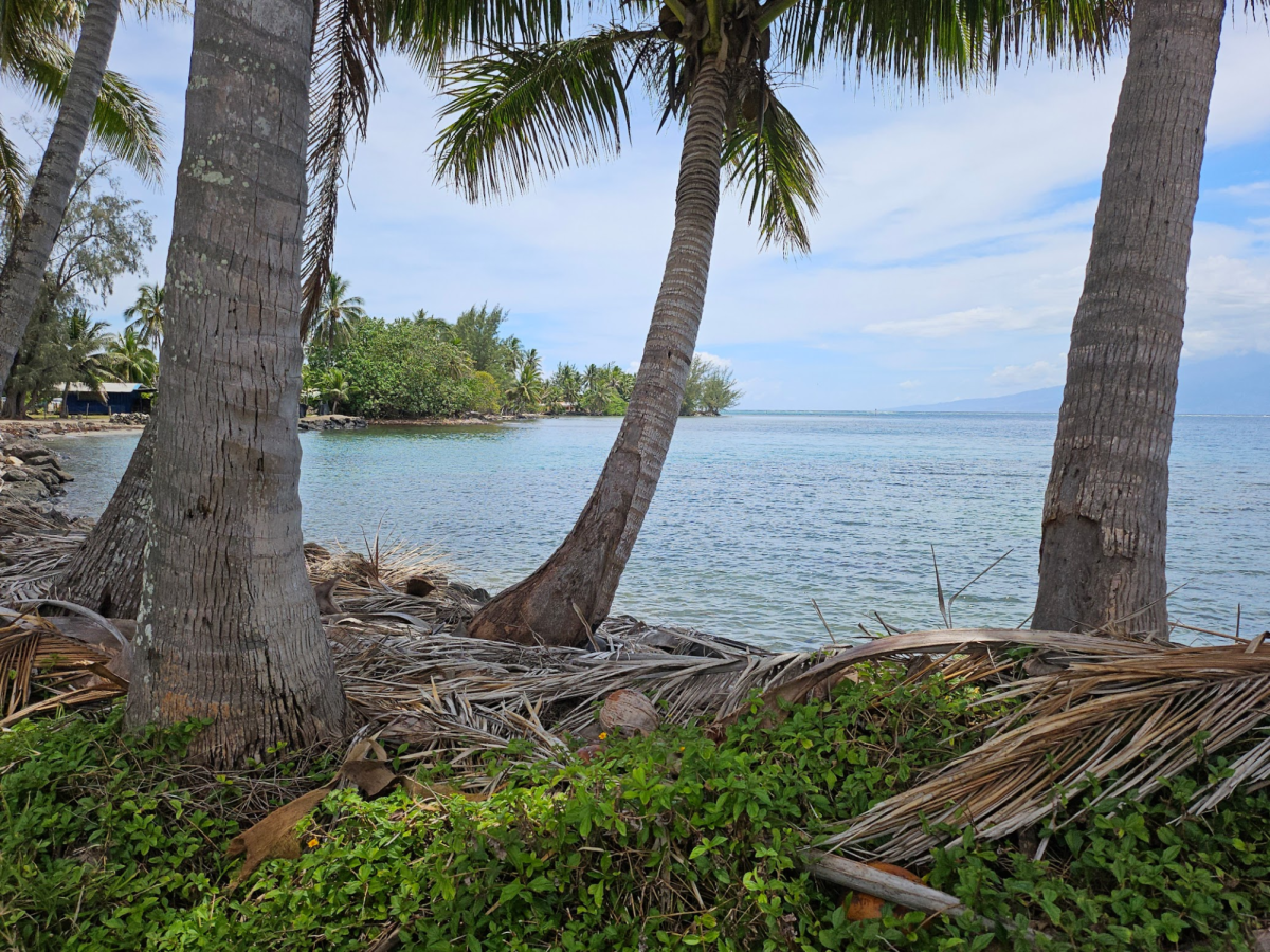 Over the Thanksgiving break, I visited the islands of Tahiti and Mo’orea, my third venture into Polynesia after visiting Hawaii and New Zealand years prior.