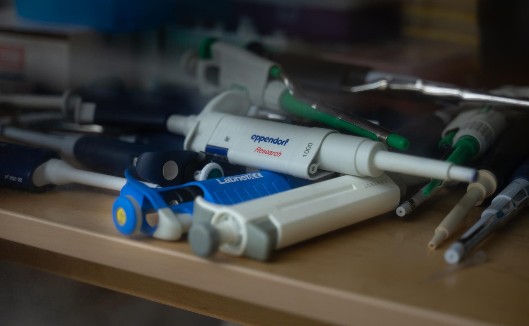 Micropipettes lie in the open lab ready for student use. These tools allow students to accurately measure and transfer small volumes of liquids that require precision.