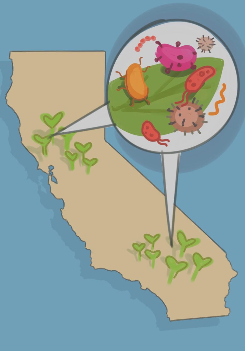 California’s significant agricultural exports may trigger national outbreaks of foodborne illness in the case of contamination. In recent months, health officials traced an outbreak of E. coli to organic carrots grown and distributed by California farming corporation Grimmway Farms.
