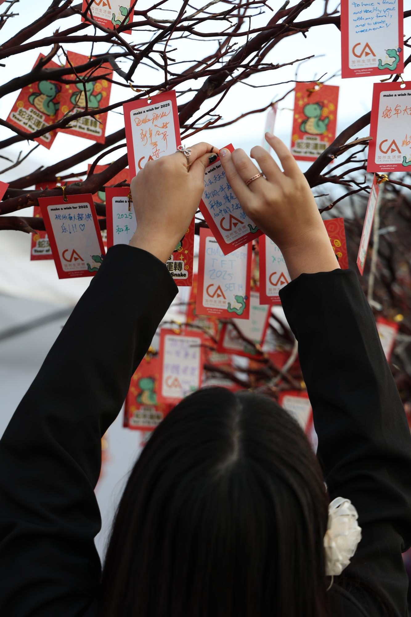 A passerby hangs her written wish on a tree in Chinatown. A sign invited people to write their wishes for the new year and affix them to the tree.