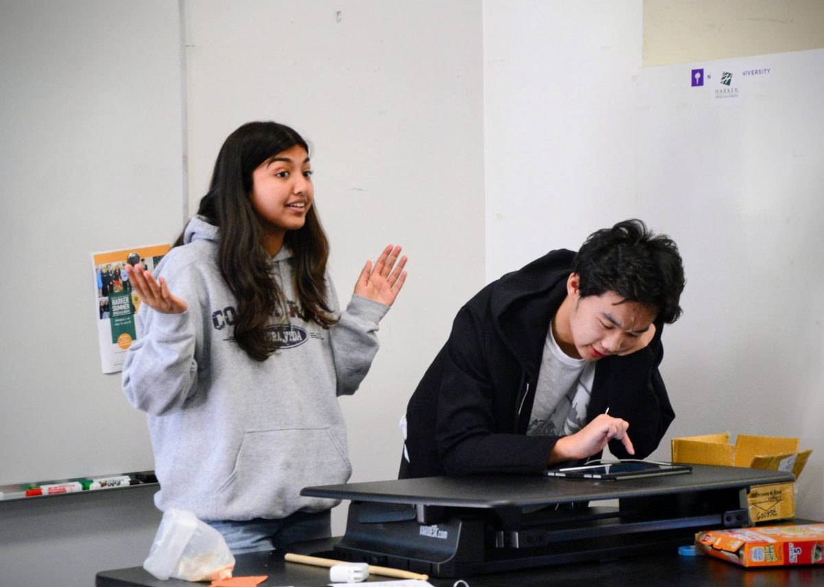 Public Health Club Vice Presidents of Internal Affairs Terry Xie (11) and Ritisha Chakravarty (10) explain and guide members through the video game Plague Inc. The game introduced club members to the origins behind deadly illnesses and how scientists create vaccines to mitigate them. 