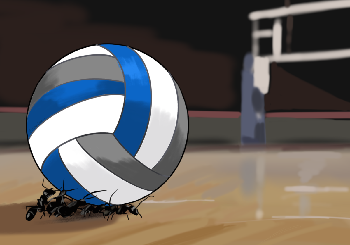 Like ant culture, volleyball revolves around teamwork and perseverance, whether on the court or the bench. As a setter, my job is to place the ball precisely for my hitters to strike, but my success depends on my teammates.