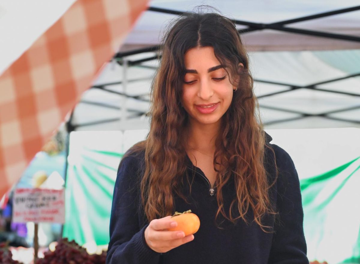 Humans of Harker: Chords and culture