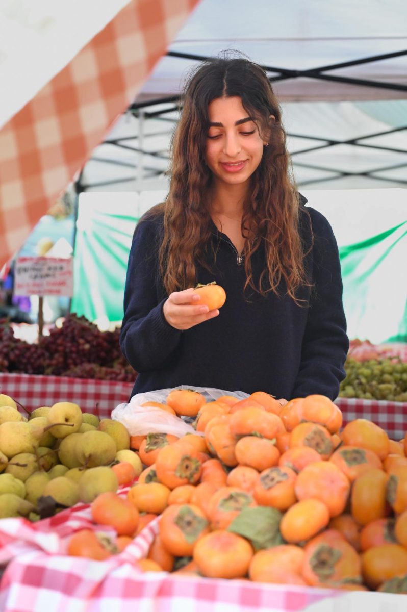 “With each language, you get a whole new perspective of the world. You get to connect with a whole new group of people and listen to conversations you never thought you’d understand. You get to go places and speak to them. A whole new world opens up," senior Bahar Sodeifi said.