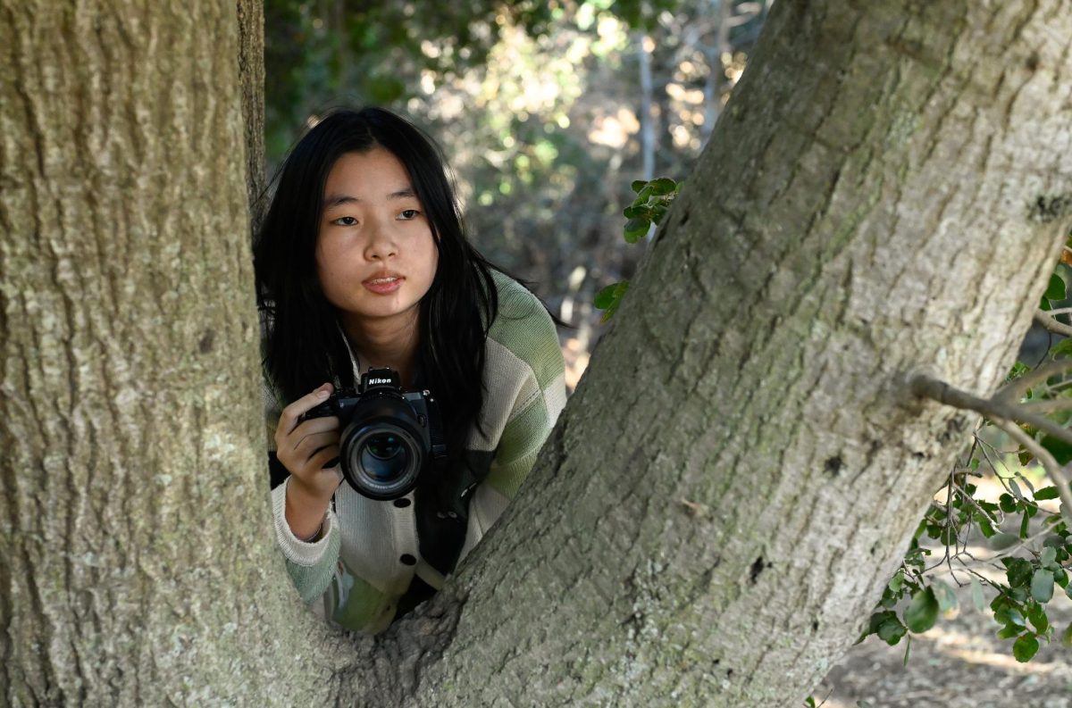 “I try to really put myself into the shoes of whatever I’m photographing. I imagine sometimes, if I were that bird, what would it feel like to be in this moment and flying, or if I were the person that I’m taking a portrait of, what would it feel like to see through their eyes? Then, I try to express that through how I frame the photo," senior Claire Zhao said.