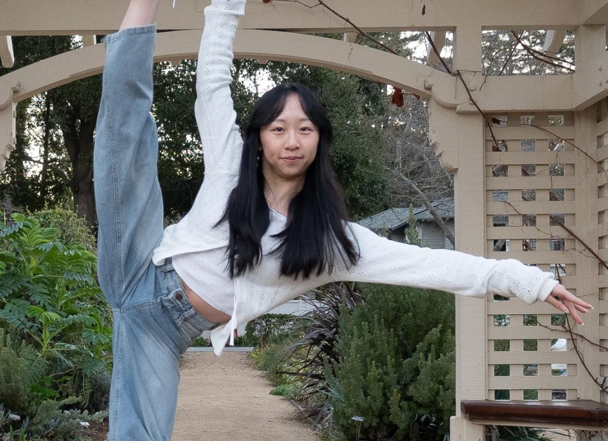 Humans of Harker: Pirouettes meet practicality 