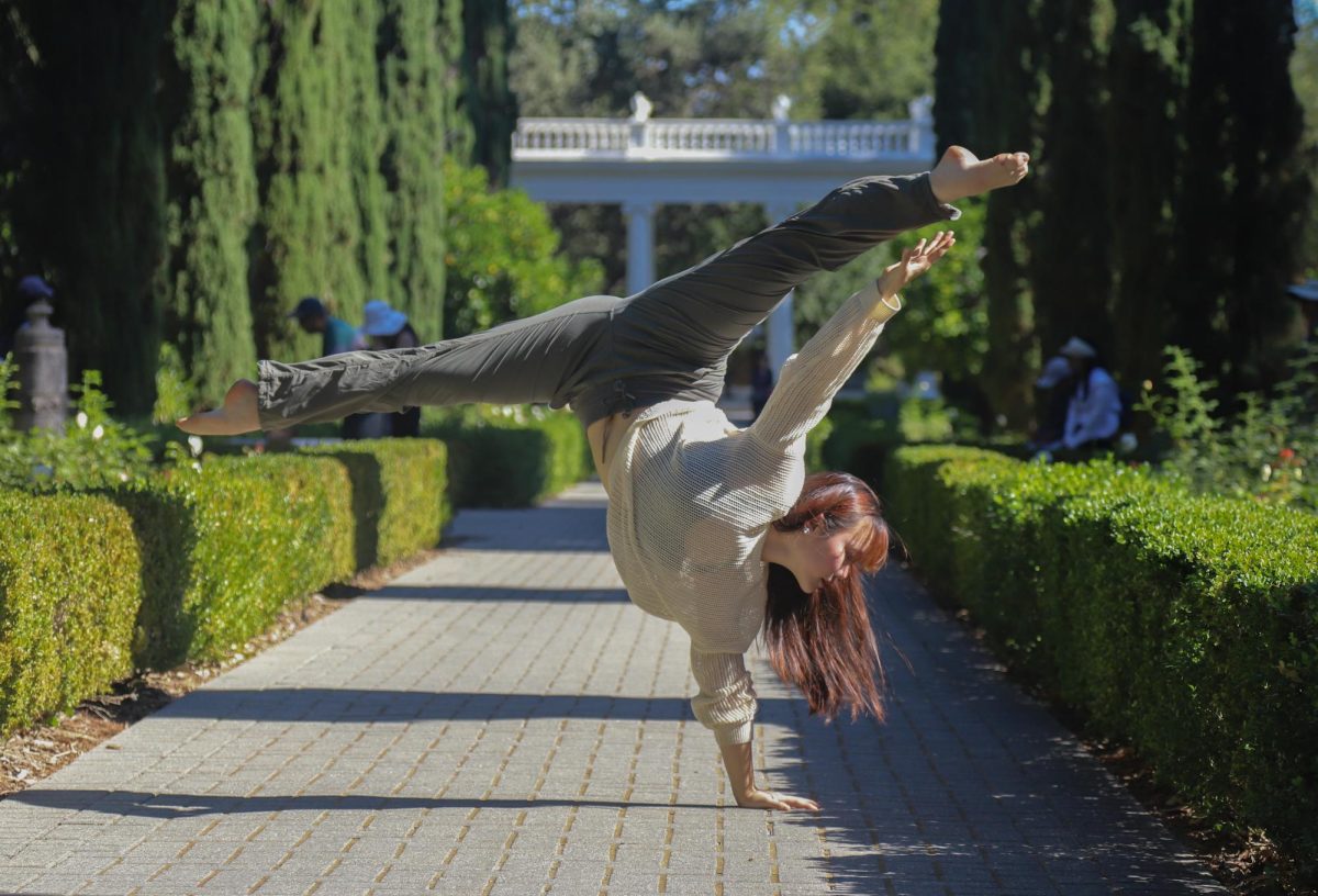 “I've always been really creative and continuing to have that outlet, whether it be dance or art, it keeps that core value strong. All the art forms I do have shaped the way I see the world. I see it through a very artistic lens and I'll find beauty in the tiny things that some people miss," senior Sonia Yu said.