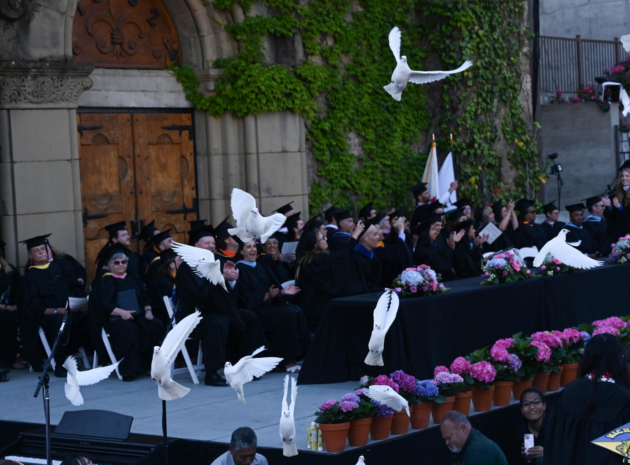 White doves fly through the air. Each year at graduation, groundskeepers release doves to symbolize graduates flying free towards new horizons.