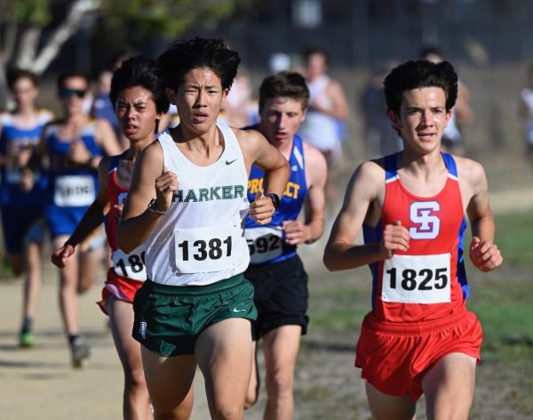 Finding joy in the long run